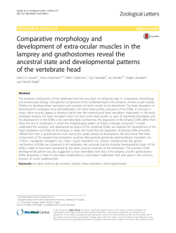 Comparative morphology and development of