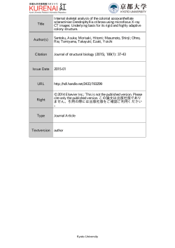 Title Internal skeletal analysis of the colonial azooxanthellate