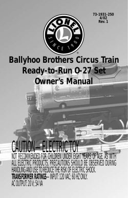 caution—electric toy