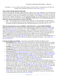 THE BLOOD: PROVISION FOR HOLINESS GROUP.13