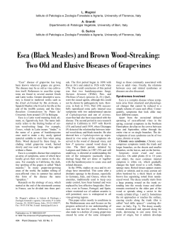 Esca (Black Measles) and Brown Wood-Streaking - Burgundy