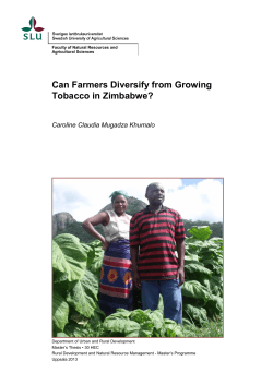 Can Farmers Diversify from Growing Tobacco in Zimbabwe?