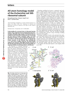 letters All-atom homology model of the Escherichia coli 30S