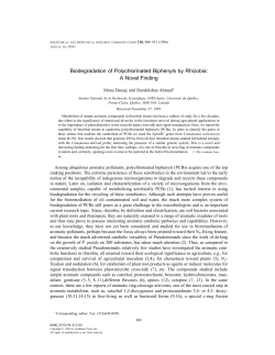 Biodegradation of Polychlorinated Biphenyls by Rhizobia: A Novel