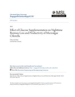 Effect of Glucose Supplementation on Nighttime Biomass Loss and