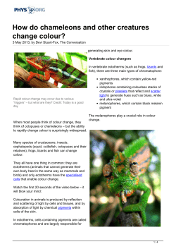 How do chameleons and other creatures change colour?