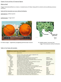 Chapter 4-Fruits and Nuts of Temperate Regions What is a fruit? A