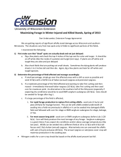 Maximizing Forage in Winter Injured and Killed