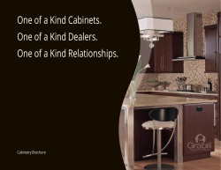 One of a Kind Cabinets. One of a Kind Dealers