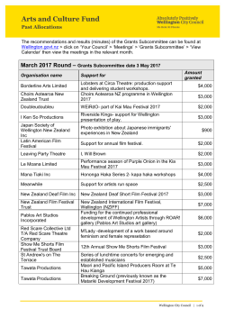 Arts and Culture Fund - Wellington City Council