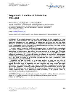 Angiotensin II and Renal Tubular Ion Transport