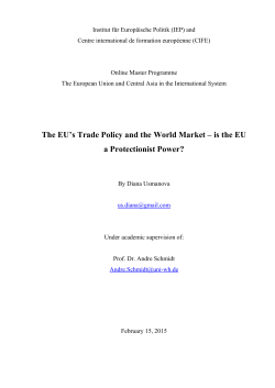 The EU`s Trade Policy and the World Market &ndash; is the EU a