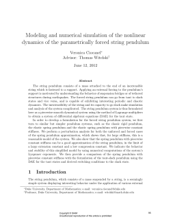 Modeling and numerical simulation of the nonlinear dynamics of the