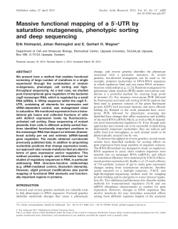 Massive functional mapping of a 50-UTR by