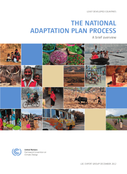 the national adaptation plan process