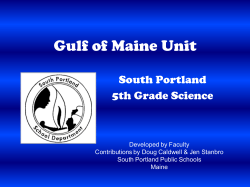Gulf of Maine Project