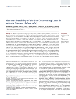 Genomic Instability of the Sex-Determining Locus in Atlantic Salmon
