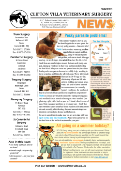 it here - Clifton Villa Veterinary Surgery