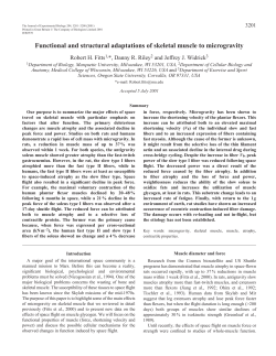 Adaptations of muscle to microgravity