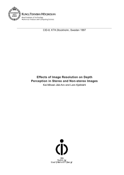 Effects of Image Resolution on Depth Perception in Stereo