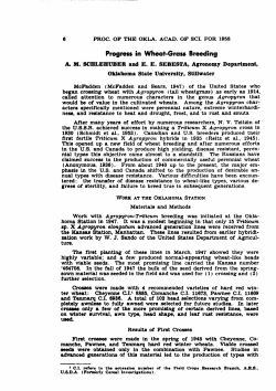 Progress in Wheat-Grass Breeding