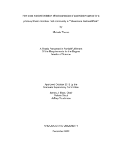 How does nutrient limitation affect expression of assimilatory genes