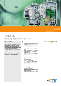 BUDI-2S - RayNet