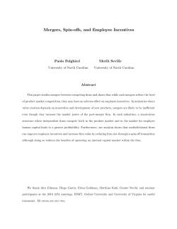Mergers, Spin#offs, and Employee Incentives - USI