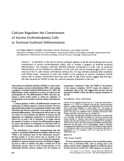 Calcium Regulates the Commitment of Murine