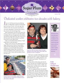 SP newsletter Summer 2008