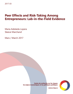 Peer Effects and Risk-Taking Among Entrepreneurs