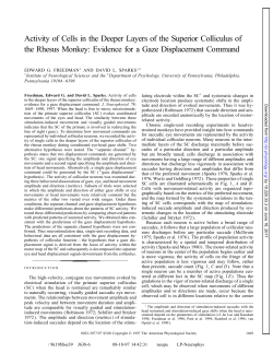 Activity of Cells in the Deeper Layers of the Superior Colliculus of