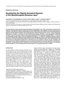 Deciphering the Diploid Ancestral Genome of the