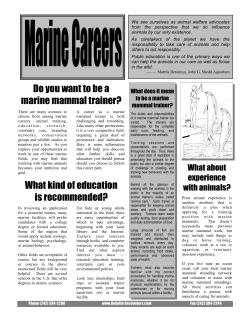 Marine Careers - Dolphin Encounters
