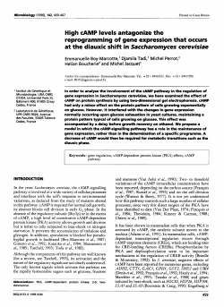 High cAMP levels antagonize the reprogramming of