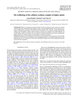 The trafficking of the cellulose synthase complex
