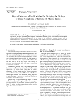 Organ Culture as a Useful Method for Studying the Biology of Blood