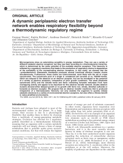 A dynamic periplasmic electron transfer network enables