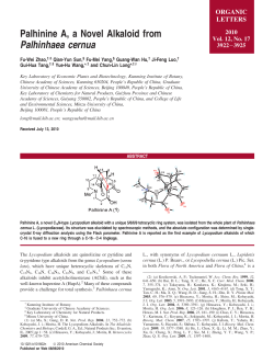 Palhinine A, a Novel Alkaloid from Palhinhaea cernua