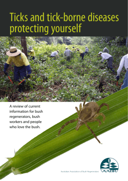 Ticks and tick-borne diseases protecting yourself