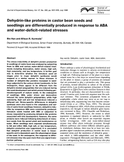 Dehydrin-like proteins in castor bean seeds and