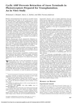 Cyclic AMP Prevents Retraction of Axon Terminals in