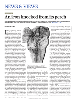 an icon knocked from its perch. Nature 475:458&ndash;459.