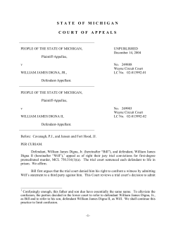 state of michigan court of appeals