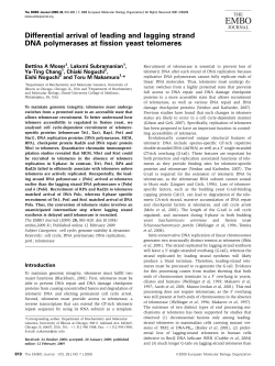 Differential arrival of leading and lagging strand DNA polymerases