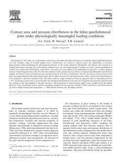 Contact area and pressure distribution in the