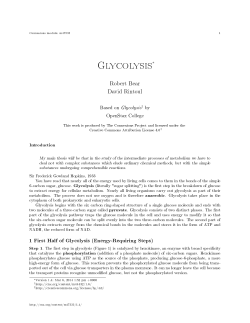 Glycolysis - OpenStax CNX