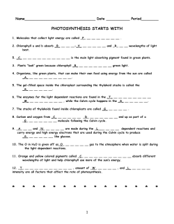 Page 1 1 Name_________________________________ Date