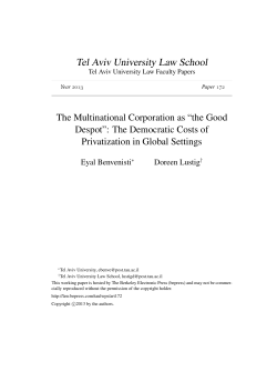 The Democratic Costs of Privatization in Global Settings
