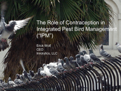 Pest Bird Management and the Role of Contraception Webinar